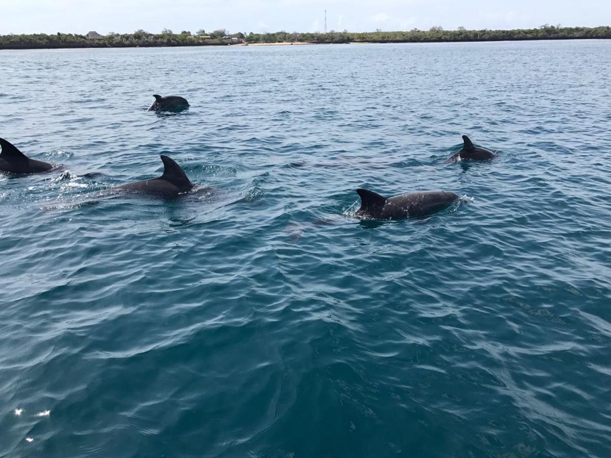 디아니 해변 Upani In Diani B&B 외부 사진